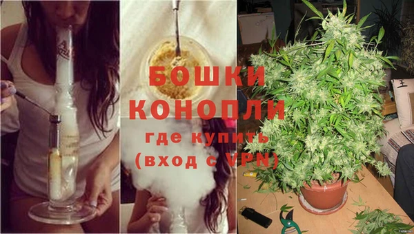 стаф Баксан