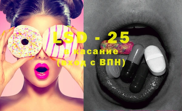 стаф Баксан