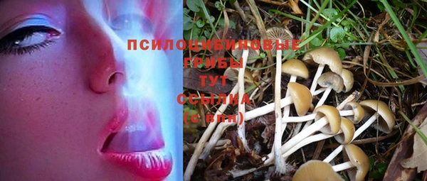 крисы Балабаново