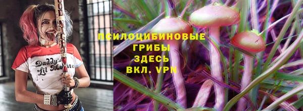 стаф Баксан