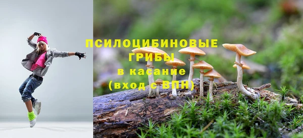 стаф Баксан